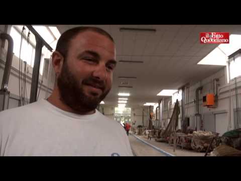 La disperazione dei pescatori in Riviera: "Il pesce sta sparendo"