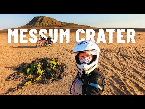 Only one plant can grow here. EXTREME NAMIBIA! 🌋 [S5 - Eps. 53]