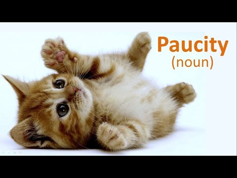 Essential English Vocabulary Lesson 7 - PAUCITY