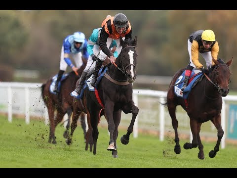 Hannover: Großer Preis des Gestüts Ammerland (Gr. III) - Siegerin: Lips Queen