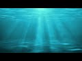 Video Background Underwater Blue 4K 100 Free Background Video Loop HD Animation Video