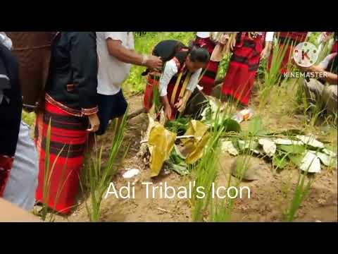 Rasing solung Binyat longa