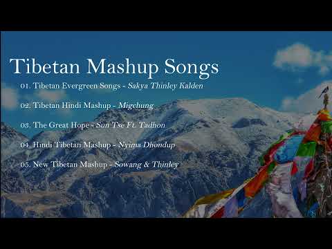 Top Tibetan & Hindi Mashup Songs’ Jukebox - བོད་གཞས་དང་རྒྱ་གཞས་མཉམ་བསྲེས་སྒྲ་སྒམ།