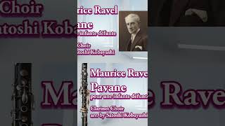 Download lagu ラヴェル《亡き王女のためのパヴァーヌ》クラリネット・クワイア（小林聡編曲）｜Maurice Ravel Pavane pour une infante défunte Clarinet Choir mp3