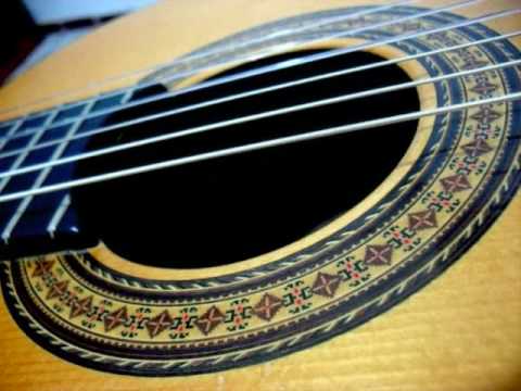 Milonga Alberto Ginastera Arr. for two guitars. Performed by German Muench