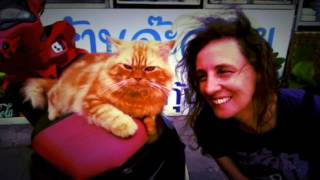 Арефьева и Ковчег live