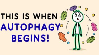How Many Hours of Fasting Before Autophagy Starts? (Science Explained)