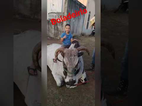 Uberlândia MG  12/03/2026