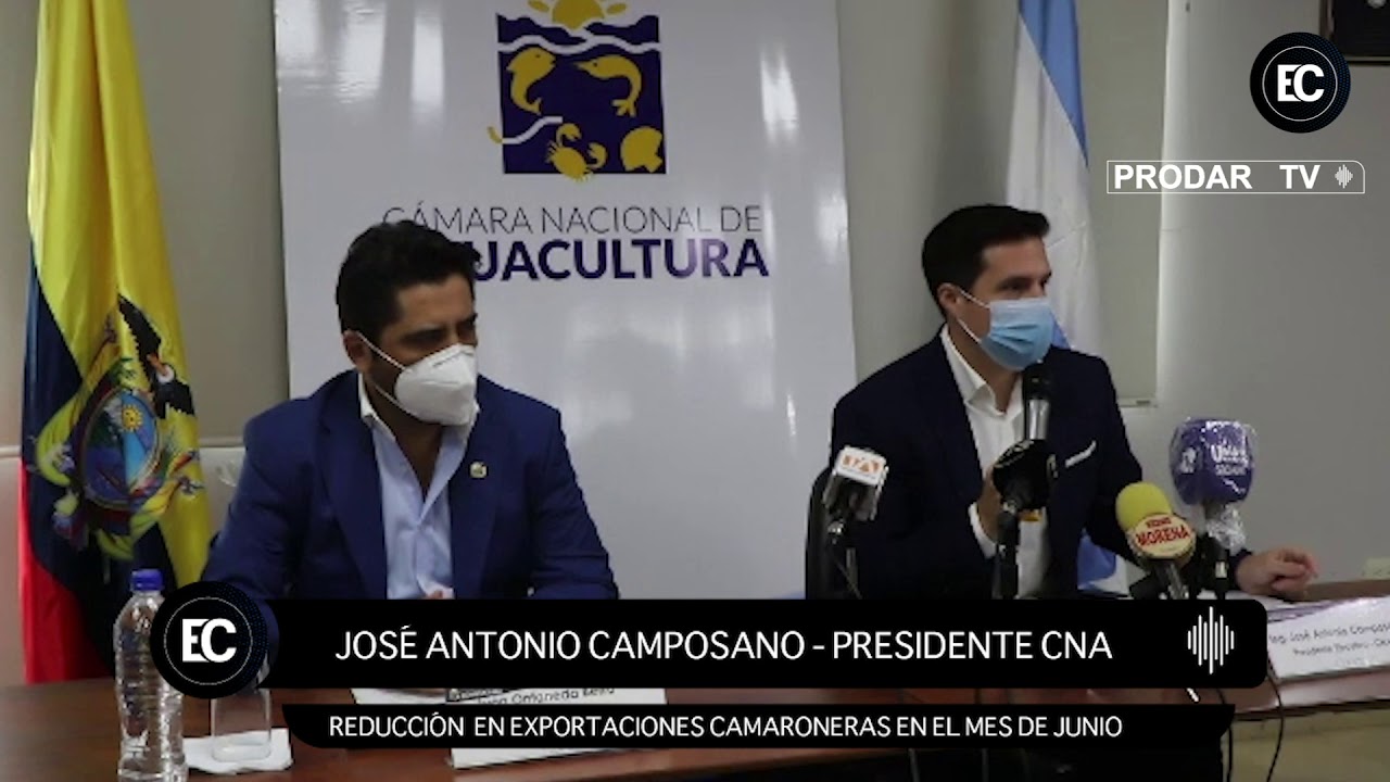Camarón ecuatoriano sufre recaída en el mes de junio