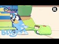 Bluey | Het Beloftenspel | Disney Channel NL