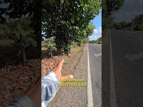 3 LOTES DISPONIBLES A ORILLAS DE CARRETERA EN NUEVA CONCEPCIÓN 😲 #elsalvador #nuestroelsalvador