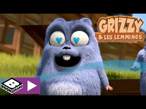 Ours au parfum | Grizzy & les lemmings | Boomerang