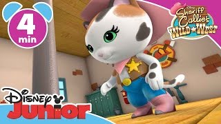 Sheriff Callie | Fire Engine Fuss | Disney Junior UK