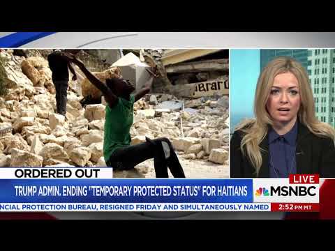 Video: MSNBC Interview on TPS