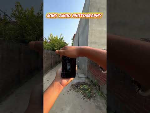 Sony A6100 with 55-210mm lens photography #photography #lens #sony #shortsfeed #shorts #youtubeshort