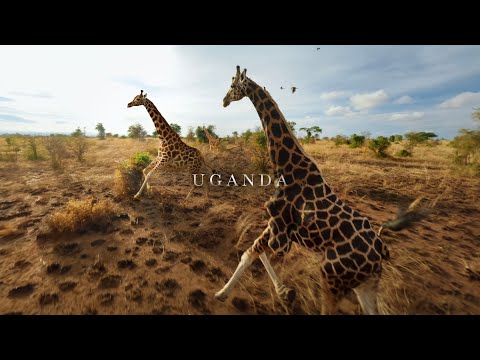 UGANDA from Above | African Wildlife with an FPV drone