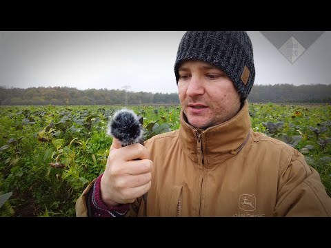 #Zwischenfrüchte - DJI Pocket 2 TEST-Vlog #FarmulaT