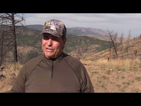 Trophy mule deer with a bow with Mike Slinkard