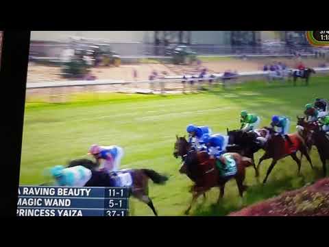 Breeders cup filly and mare turf-sister charlie