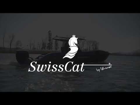 Custom made Swiss Cat 31