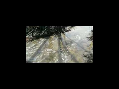 Un bărbat de 52 de ani din Schitu Duca, luat de ape ieri seara, este de negăsit