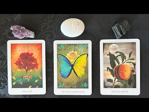 🥹How Do They Really FEEL About You Now?? (in-depth) ❤️🌳🦋🍑 *Pick A Card* Timeless Psychic Love Tarot 
