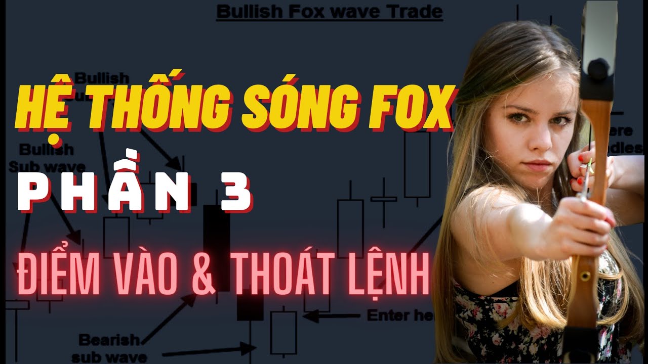 Hệ Thống Giao Dịch Sóng Fox - Phần 3: Điểm Vào Lệnh & Thoát Lệnh