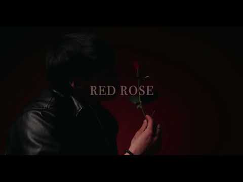 Red Rose ~ Johnny Huynh 1 HOUR LOOP