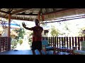 Five Element Boxing Pi Chopping