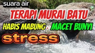 Download lagu TERAPI MURAI BATU pasca MABUNG, MACET BUNYI dan stres AMPUH,Terapi burung suara gemericik air mp3