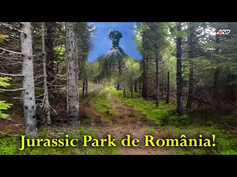 Padurile VULCANICE din muntii Harghitei. Pe poteci, spre inima ta! S4 - Ep10 (117)