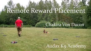 Remote Reward Placement - Full Video