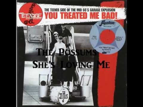 The Possums - She's Loving Me ('60s GARAGE PUNK)