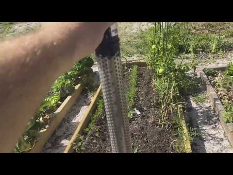 WellPoint Installation