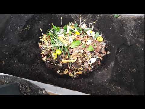 Making Compost and Worm Farm.