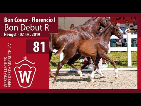81 Bon Debut R Hengst v. Bon Coeur - Florencio I