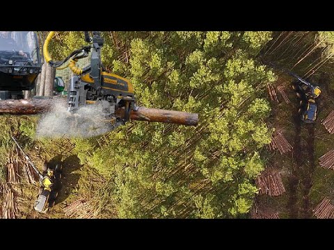 Tesla ''Gigafabrik'' Einmalige Aufnahmen (im) Tesla-Gelände - Teslas Gigafactory 4 Berlin