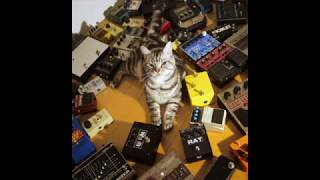 Cover art for Just Alright