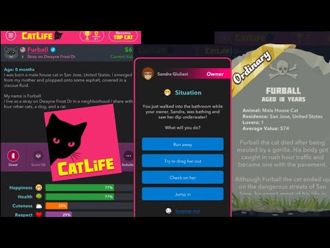 CatLife Game Gameplay - YouTube