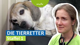 Die Tierretter (1) | Helfer im Einsatz | MDR