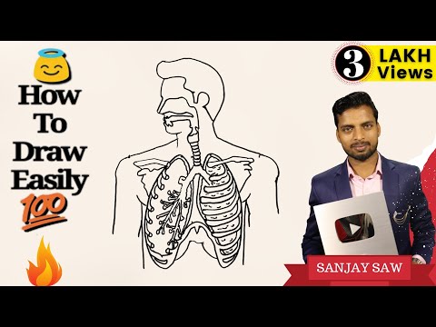 How to Draw Respiratory System step by step for Beginners! Video