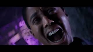 VideoImage1 Directive 8020