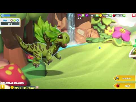 DML Stream Over. Thank You For Visiting