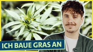 Selbstexperiment Cannabis Anbau: Wie funktioniert’s und was kann schief gehen? (Teil 1)