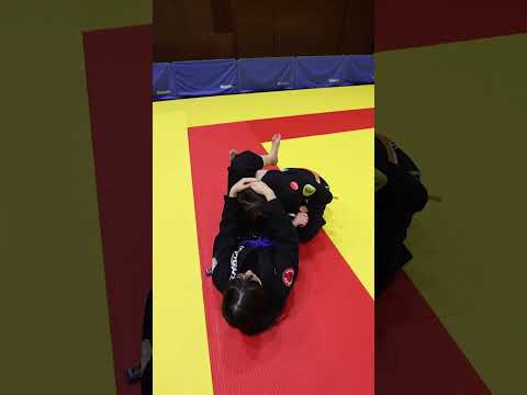 Triangle choke from closed guard / クローズドガードからの三角絞め  #柔術 #ブラジリアン柔術 #柔術女子  #格闘技女子 #jiujitsu #BJJ #関節技