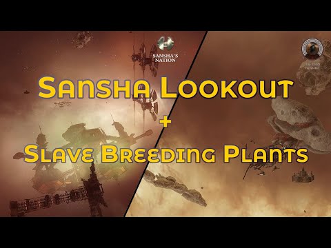 Sansha Lookout and Slave Breeding Plants - Eve Online Exploration Guide