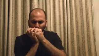 AIN´T GONNA STUDY WAR NO MORE (DOWN BY THE RIVERSIDE) -harmonica cover-