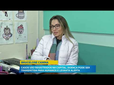 Brucelose Canina é doença infecciosa que pode ser transmitida para humanos