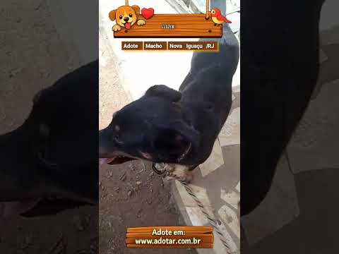 Vídeo de max