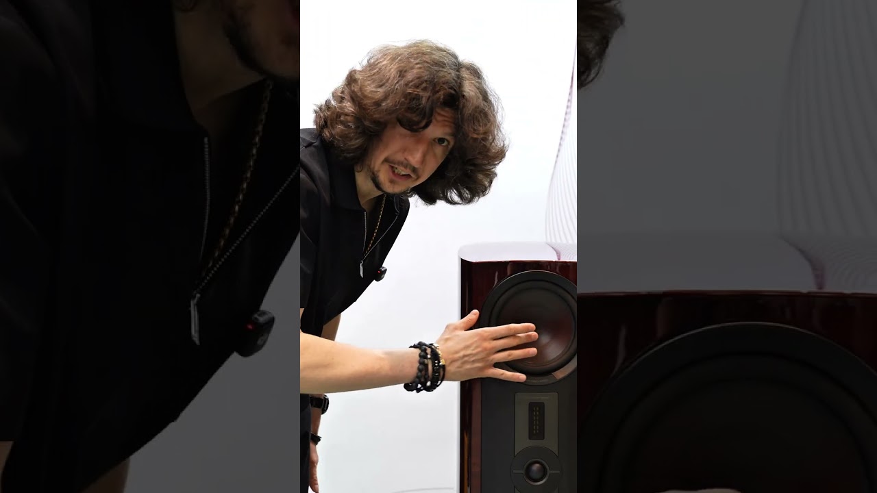 Что за странный динамик на Dali!?